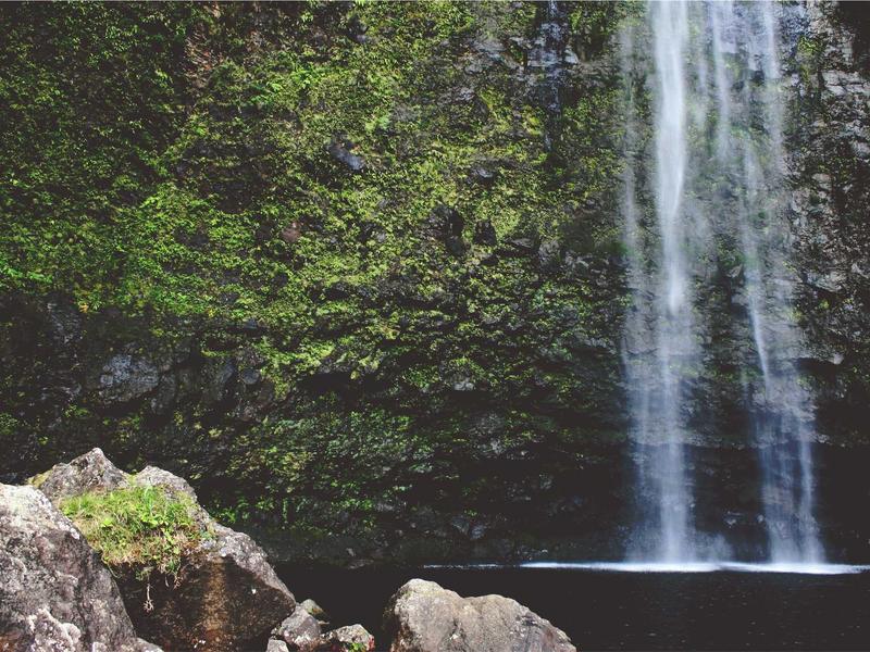 sudoku mental exercise screenshot 4